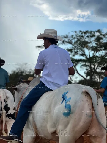 06 - 08