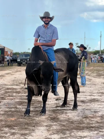 09 - 07